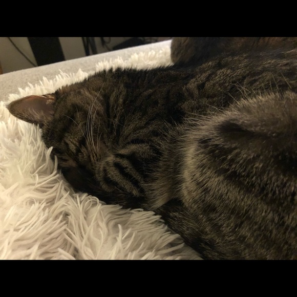 Meet your Posher, Tracie - Picture 1 of 1